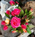 ein Bild aus dem Album